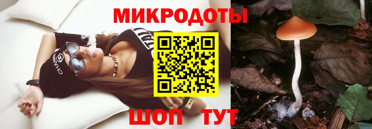 Псилоцибиновые грибы мицелий  Вход с VPN  Торжок  Галлюциногенные грибы Psilocybine cubensis 